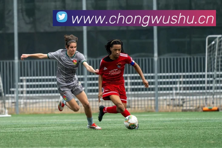 在线压球(中国)唯一官方网站发展历程